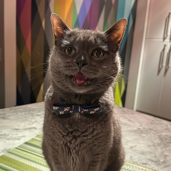 Meet your Posher - Picture 1 of 1